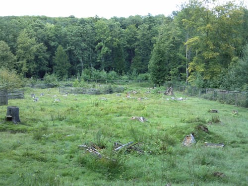 Wildpark Klaushof