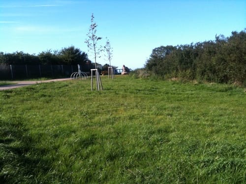 Kurpark Glowe - Spyker See - Dinosaurierland