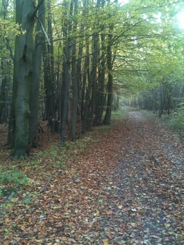 Nipmerow Rundweg