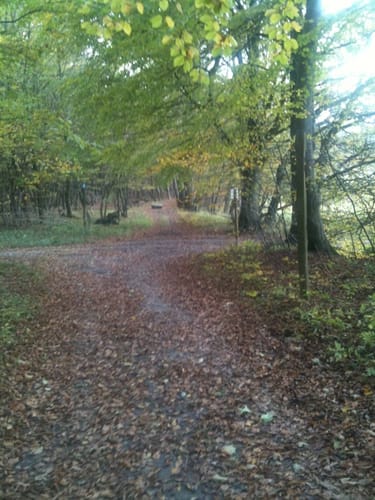 Nipmerow Rundweg