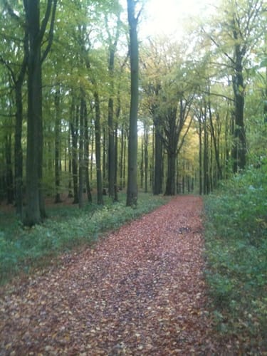 Nipmerow Rundweg