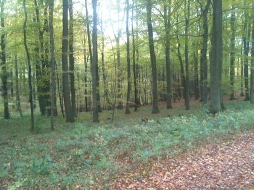 Nipmerow Rundweg
