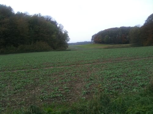 Nipmerow Rundweg
