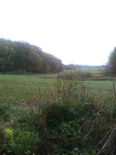 Nipmerow Rundweg