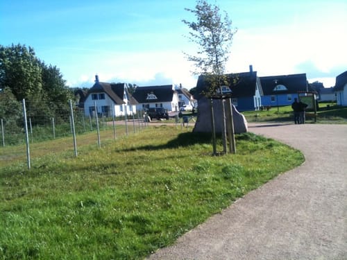 Kurpark Glowe - Spyker See - Dinosaurierland
