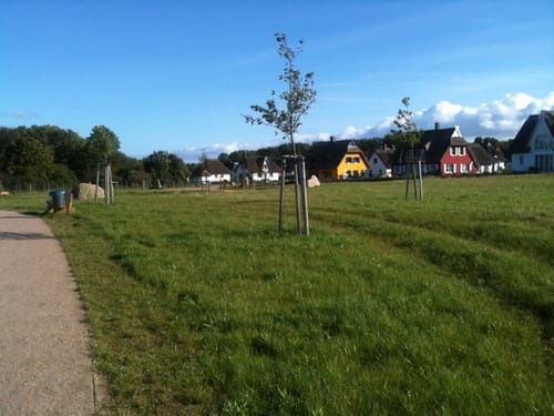 Kurpark Glowe - Spyker See - Dinosaurierland