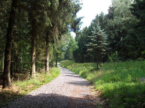 Rund um Staffel