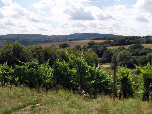 Von Bad Bodendorf nach Ahrweiler
