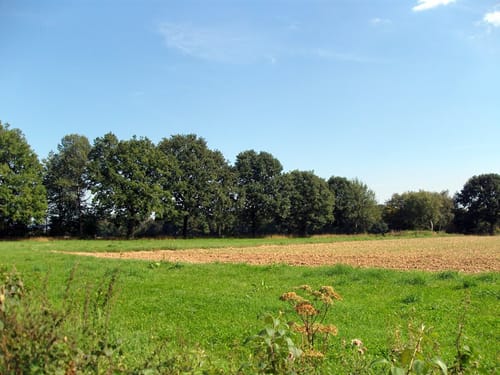 Heiderhof – Wachtberg Schleife