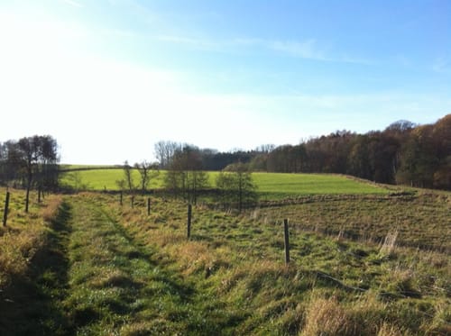Rund um Liessem