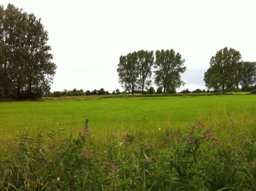 Rund ums Ostseehotel Holm