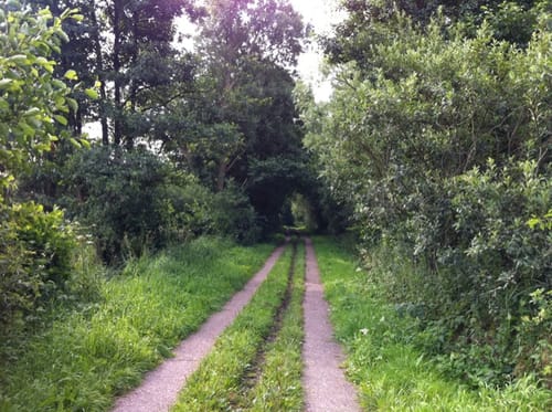 Am Pferdehof Holm