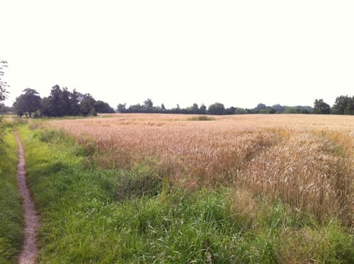 Am Pferdehof Holm
