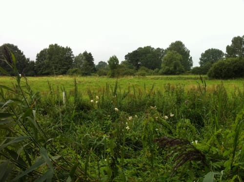 Am Pferdehof Holm