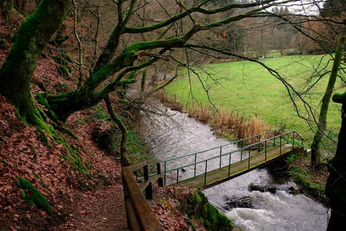 Irsenpfad (Premiumwanderweg)