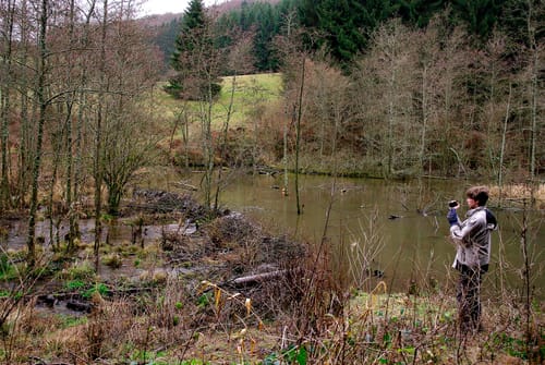 Irsenpfad (Premiumwanderweg)