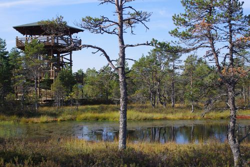 2023 Best 10 Trails and Hikes in Harju | AllTrails