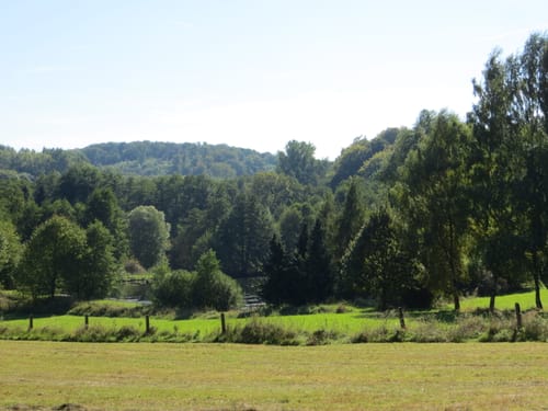 SchächerbachTour (Premiumwanderweg)