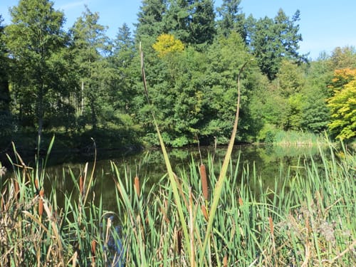 SchächerbachTour (Premiumwanderweg)