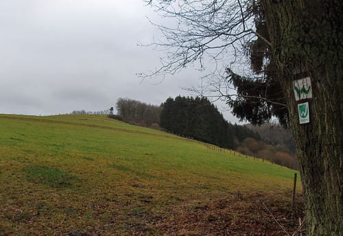WesterwaldSteigEtappe 14: Horhausen - Strauscheid