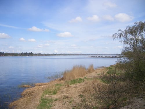 Paddeltour Schlei: Haddeby - Missunde
