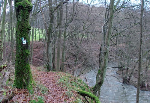 Wiedweg Etappe 4: Oberlahr - Neustadt Wied