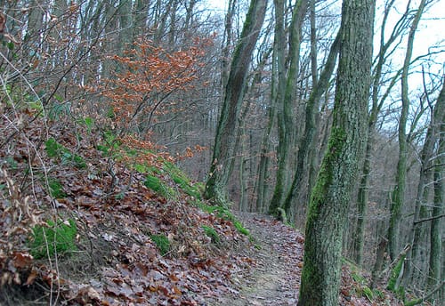 Tippeltour 294 Kölner-Stadt-Anzeiger