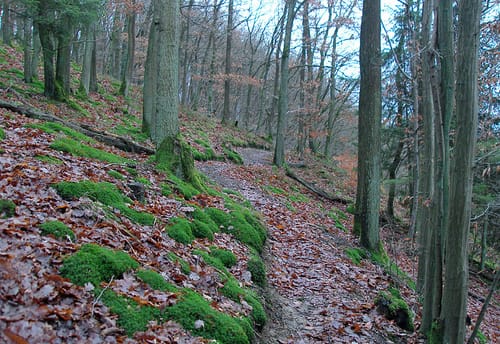Tippeltour 294 Kölner-Stadt-Anzeiger