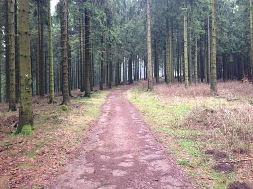 Kindelsbergpfad (Kreuztal, Kredenbach)