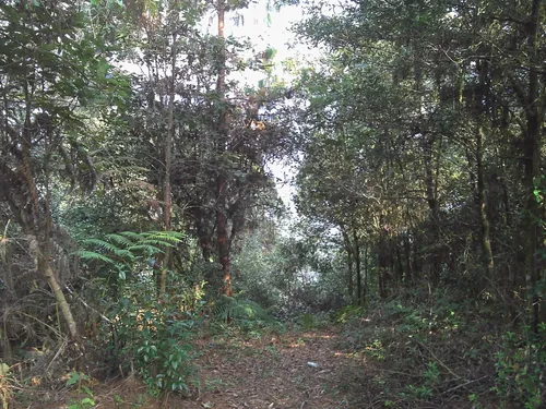 Los mejores senderos y rutas en Agua Blanca de Iturbide AllTrails