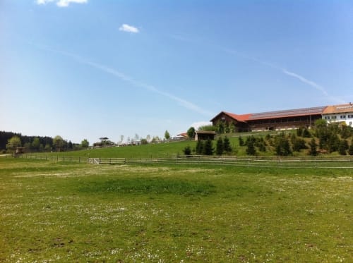 Von Großhelfendorf durch den Bergtierpark Blindham