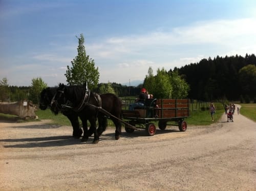 Von Großhelfendorf durch den Bergtierpark Blindham