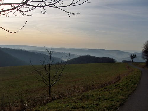 Waldbreitbacher Wiedtraum