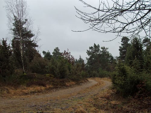 Historische Straße Wacholderweg