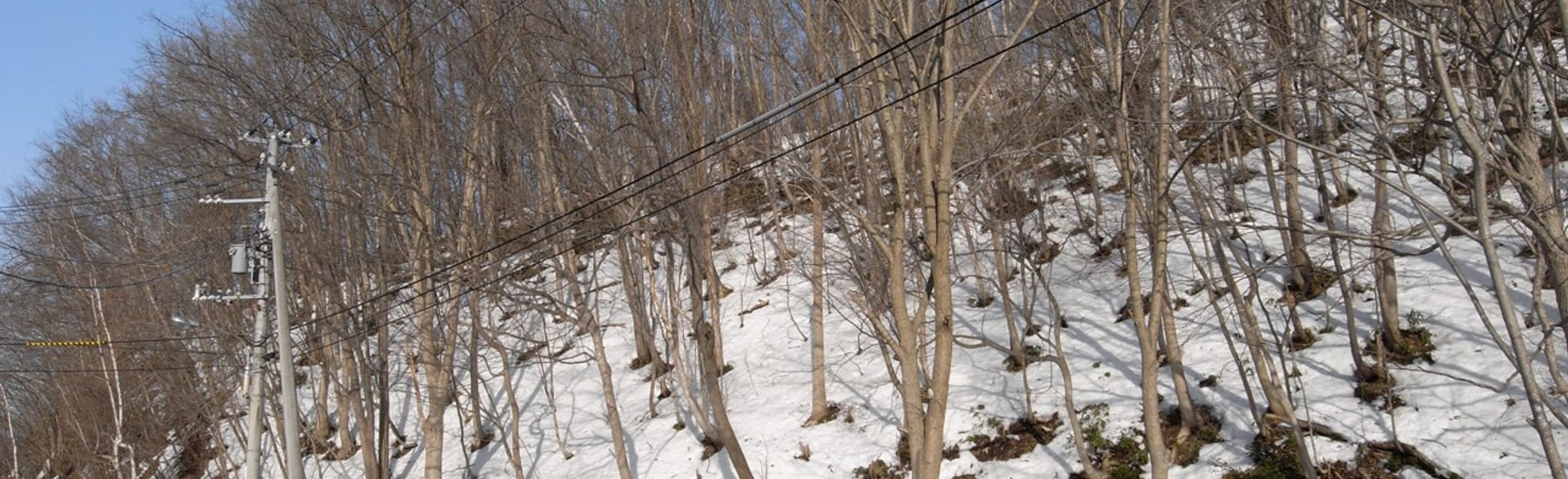 Maruyama Koen Station Mount Jinja Mount Sankaku Map, Guide