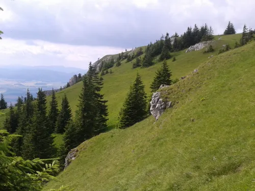 10 Best Hikes and Trails in Veľká Fatra National Park | AllTrails