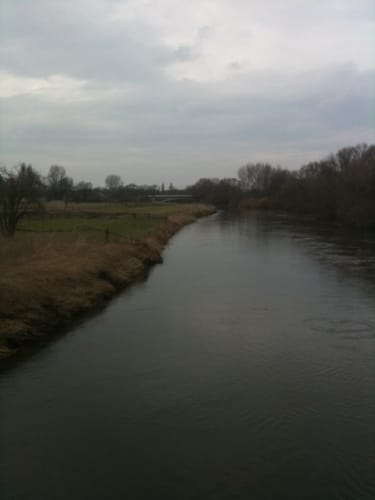 NSG Alte Leine ab Grasdorf