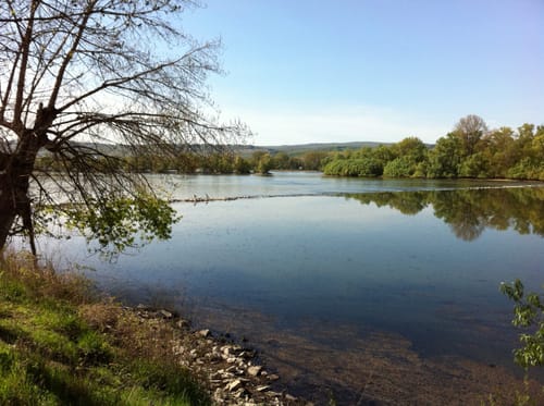 Rhein Radweg Etappe 4: Karlsruhe nach Bingen