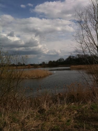 Lehrter Stapelteiche