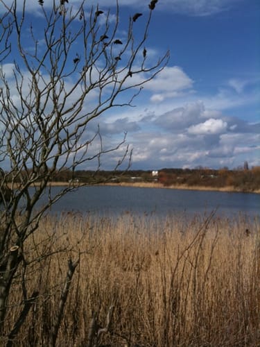 Lehrter Stapelteiche