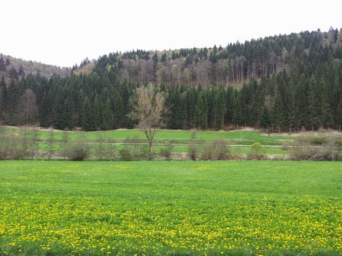 Premiumwanderweg: Wilde Täler - Fürstliche Höhen