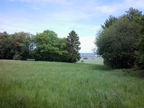 Deister und Fuchsbach ab Bantorf