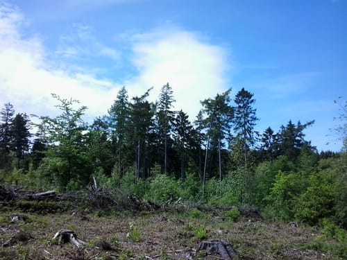 Deister und Fuchsbach ab Bantorf