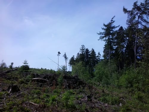 Deister und Fuchsbach ab Bantorf
