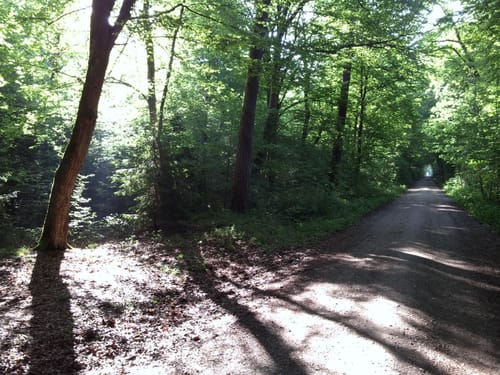 Forstenrieder Park ab München-Laim