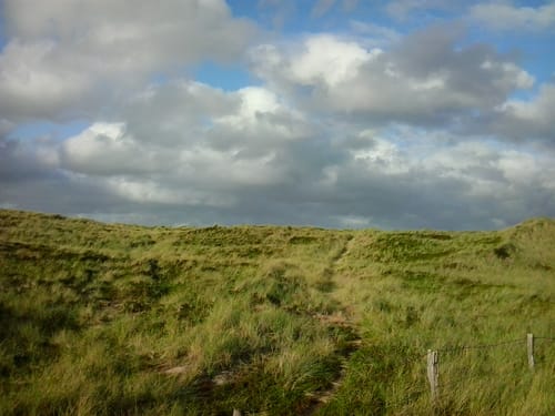 Westerland Süd