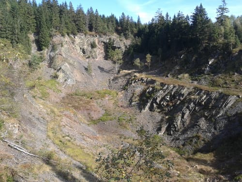 Fellbergbaude ab Augustenthal