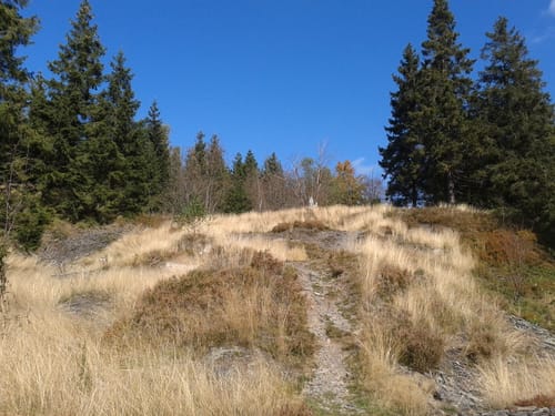 Fellbergbaude ab Augustenthal