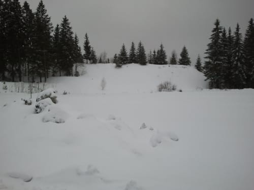 Fellbergbaude ab Augustenthal