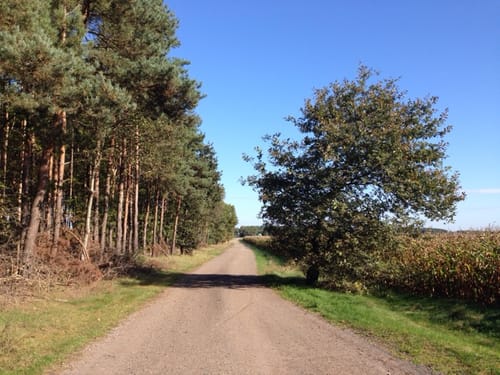 Teilweg und Plasttenweg Rundweg